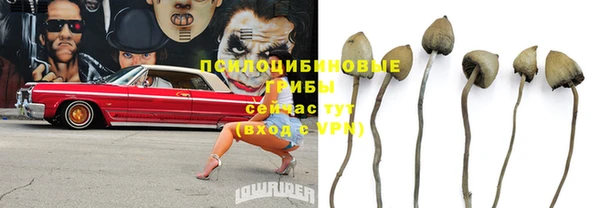 ГАЛЛЮЦИНОГЕННЫЕ ГРИБЫ Армянск