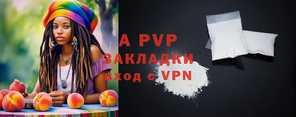 стафф Арсеньев