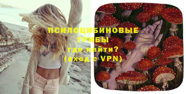ешки Аркадак
