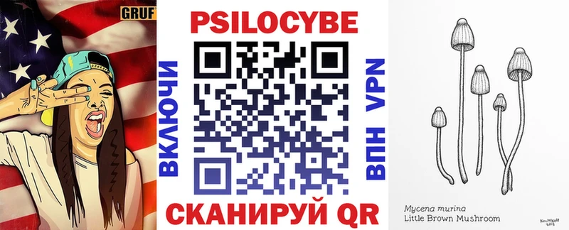 Псилоцибиновые грибы Psilocybe  гидра как войти  Гвардейск  наркота 